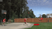 Basketball Loop GIF