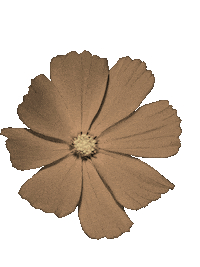 Flower Boho Style Sticker