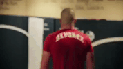ufc 205 GIF