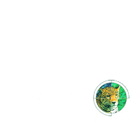 Nex Sticker by GARRA