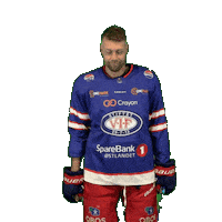 6 Sticker by VIF Hockey