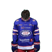 Gabriel Koch Sticker by VIF Hockey
