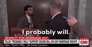 Marriage Equality Senate GIF by GIPHY News