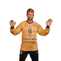 Robin Goalkeeper Sticker by Saint-Raphaël Var Handball