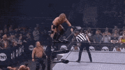Chris Jericho ÄEw GIF by All Elite Wrestling on TNT