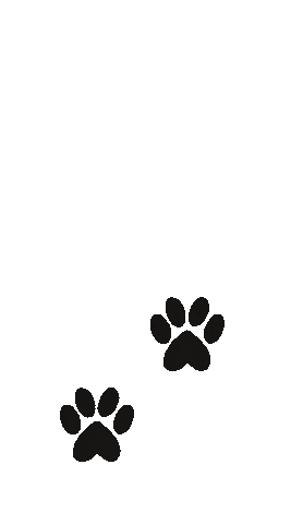 Follow Me Dog Sticker