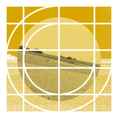 Loop Circle GIF by Grasnapolsky