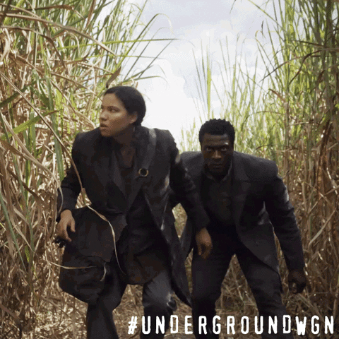 wgn america drama GIF by Underground