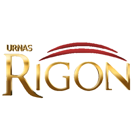 urnasrigon giphyupload urnas rigon rigon urnas urnasrigon Sticker