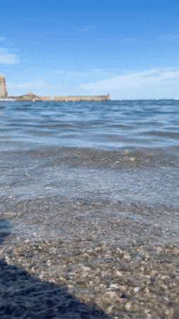 natalieserber giphygifmaker GIF