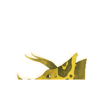 PAPress dinosaur dinosaurs triceratops cartoon dinosaur Sticker