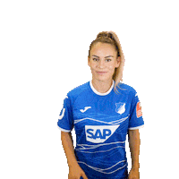 Basketball Sticker by TSG Hoffenheim