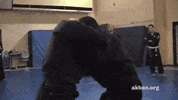 throw ninjutsu GIF by AKBAN Academy
