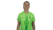 Netherlands Thumbs Up Sticker by VfL Wolfsburg