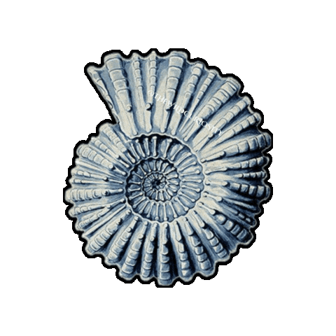 Sea Creature Ocean Sticker by The Wild Curiosity