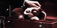 Happy Petting GIF
