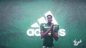 College Football GIF by USF Athletics