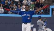 Blue Jays Baseball GIF by Toronto Blue Jays