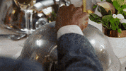 adam scott thanksgiving GIF by NBC