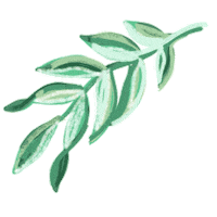 happy flowers Sticker by Ivo Adventures