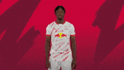 Proud Its Me GIF by RB Leipzig