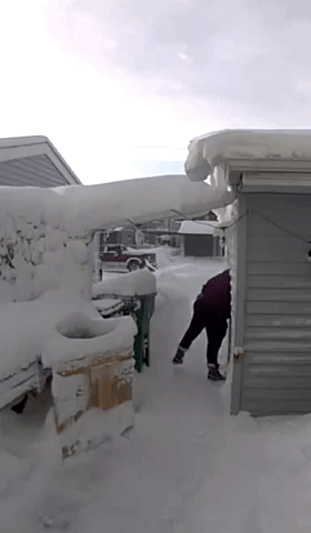 Mound of Snow Lands on Woman's Head