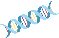 ZentasticFit science dna zentastic zentasticfit Sticker
