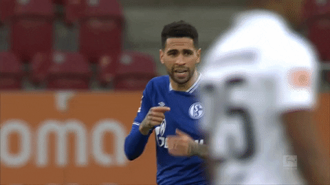 Lets Go GIF by FC Schalke 04
