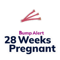 Pregnancy Expecting Sticker by The Bump