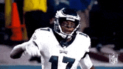 2018 nfl football GIF by NFL