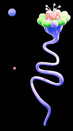 Sommer Sdf GIF by SummerDays Festival