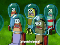 season 6 gullible pants GIF by SpongeBob SquarePants