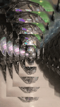 Staring Looking At You GIF by Mollie_serena