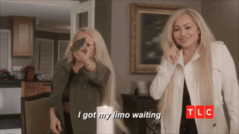Twins Twinning GIF by TLC