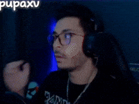 Twitch Streamer Omg GIF