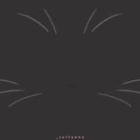 Friday The 13Th Cat GIF