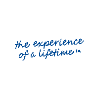 The Experience Of A Life Time Sticker by ISSOS