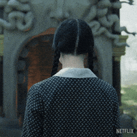 Wednesday GIF by NETFLIX