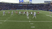 Nfl Football GIF by New England Patriots
