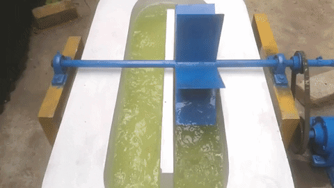 geetanjaliyadav giphygifmaker GIF