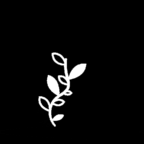ByMabbi white flower leaf flor GIF