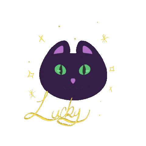 KacieKC giphyupload cat sparkle lucky Sticker