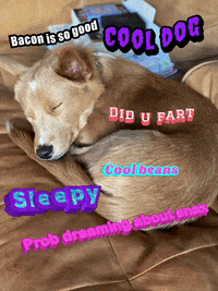 Moonspacedog GIF by hamlet