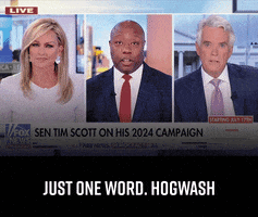 votetimscott tim scott votetimscott timscott GIF