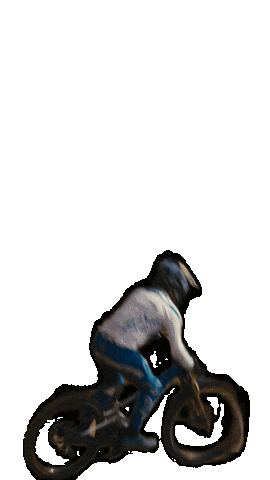 Pinkerton Sticker by Mondraker