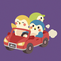 Travel Car GIF by Finch Care