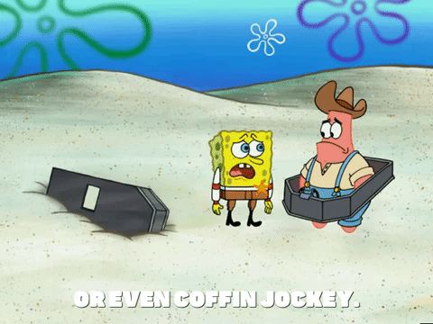 season 5 GIF by SpongeBob SquarePants
