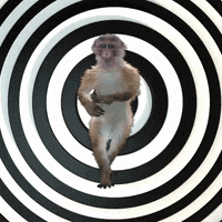 Happy Dance GIF