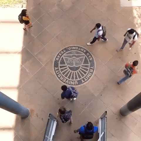 trinityuniversity giphygifmaker trinity university GIF