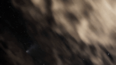 rosscunniff giphygifmaker GIF